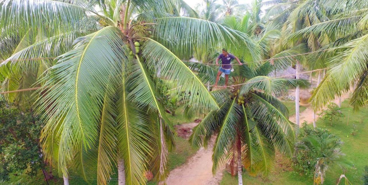 Coco Village Hotel Chilaw Bangadeniya Exteriér fotografie