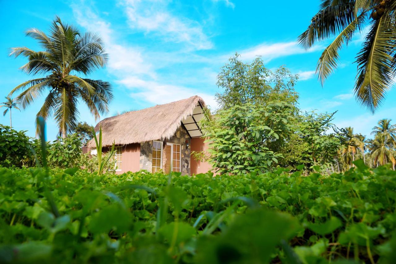 Coco Village Hotel Chilaw Bangadeniya Exteriér fotografie